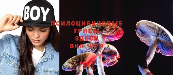 прущая мука Магадан