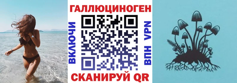 Псилоцибиновые грибы Psilocybe  цена   Чухлома 